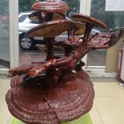 李凤军p海报