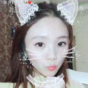 慕斯cat