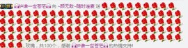 ~菲儿~不忘初心主播照片