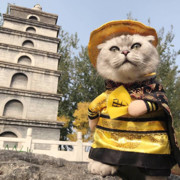 爱吃鱼的鹰