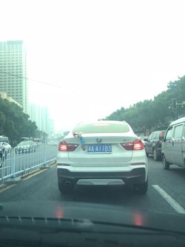 嗷~小熊熊！主播照片