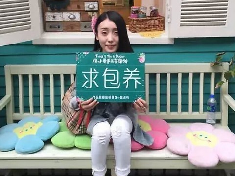 飞翔g4$海报
