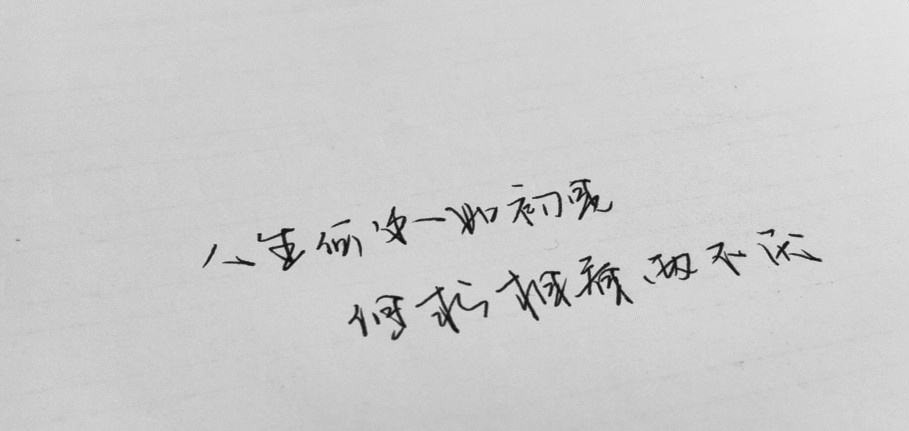 志成網絡科技的主播照片