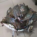 微信_4821627