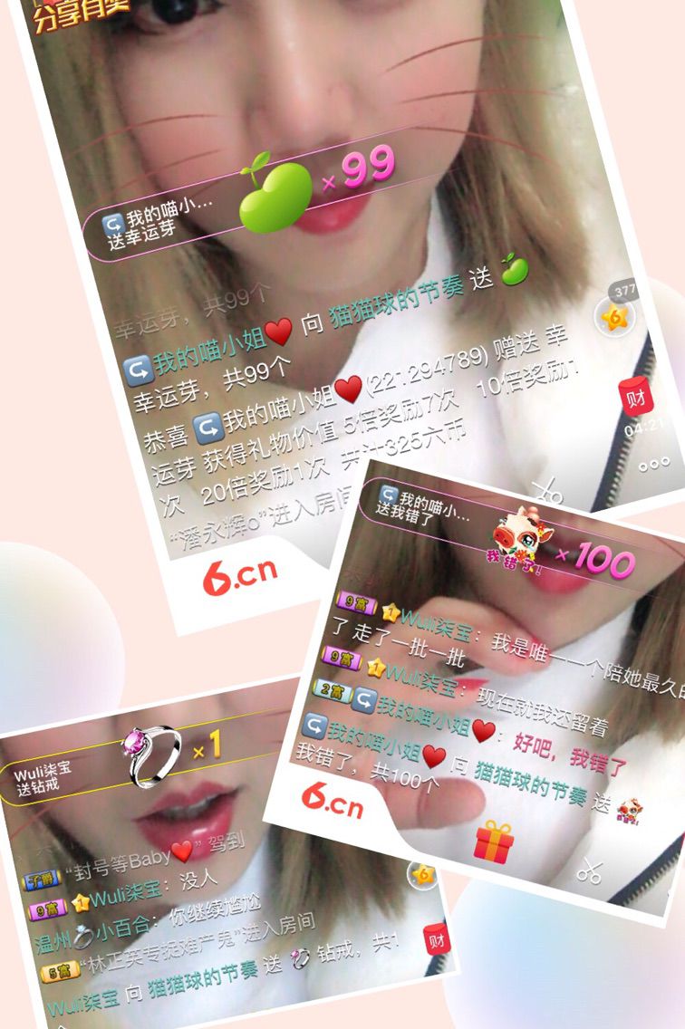 猫猫球的节奏的主播照片