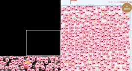 【光头强】归来主播照片