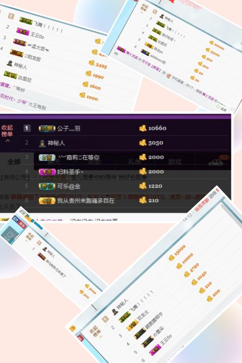 小标题。的主播照片