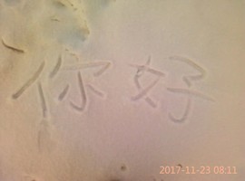 百变玲姐主播照片