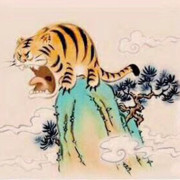 BIGTiger🐯的头像