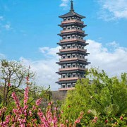 笑傲峰巅