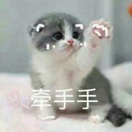 TD蛋糕已吃主播照片