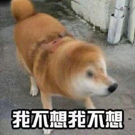 尬聊彤主播照片