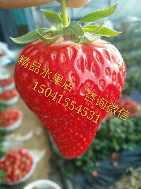 李小美🍓果品的主播照片