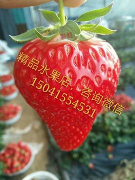 李小美🍓果品主播照片