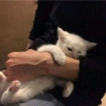 九妄♡主播照片