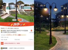 明日的太阳🌞主播照片