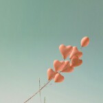 🌹春暖花开🌹海报