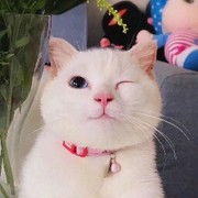 等待至尊宝的紫霞仙子