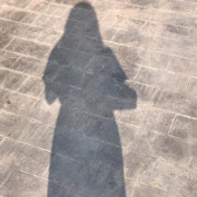 19686的猪海报