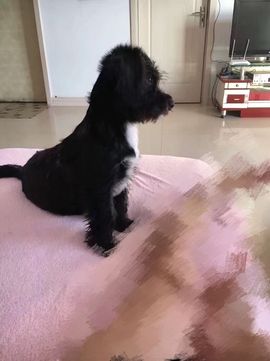 偌璃啊！主播照片