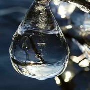 生逢灿烂春暖花开海报