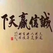 王殿斌a