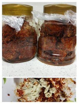 橙子江湖再见啦！主播照片