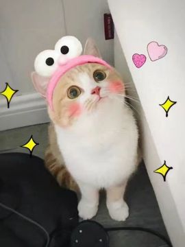 楠小笙ヅ主播照片