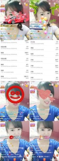 海鸽晚上见主播照片