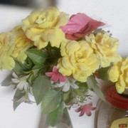 大漠苍狼c6