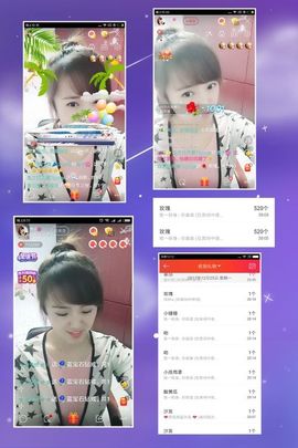 海鸽晚上见主播照片