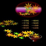 万事如意6lq