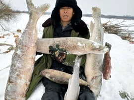 杨柳风a主播照片