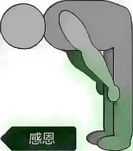 一只雁~主播照片