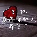 蒲公英的约💟️定海报