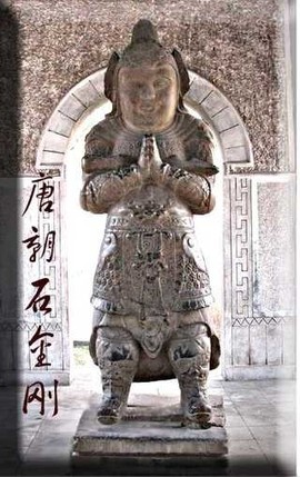 🐺野狼🐺主播照片