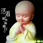 ℡◥一炮黄尘