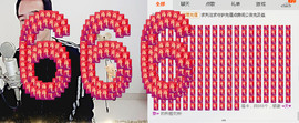 山东轮椅哥主播照片