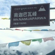 空心菜333