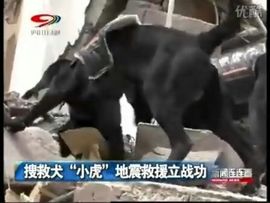 红力的故事？主播照片