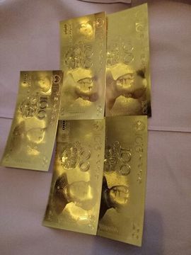 ～追寻主播照片