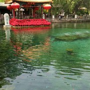 飞翔的天空aw