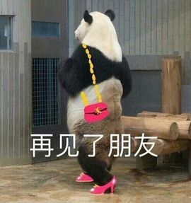 云宝宝💕主播照片