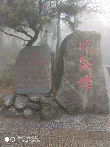 这么久没见.的主播照片