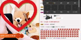 小呗电脑坏不定时播主播照片