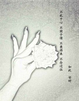 大大大脸酒娃娃主播照片