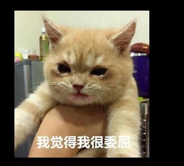 傅园慧.主播照片