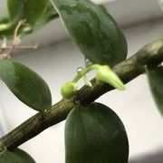 种生活海报
