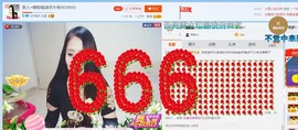☔红尘依梦☔主播照片