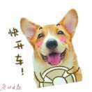 幸福的二哈